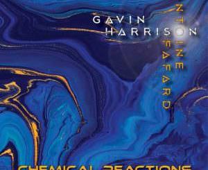 Gavin Harrison - Chemical Reactions