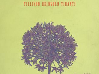 Tillison Reingold Tiranti - Allium Una Storia